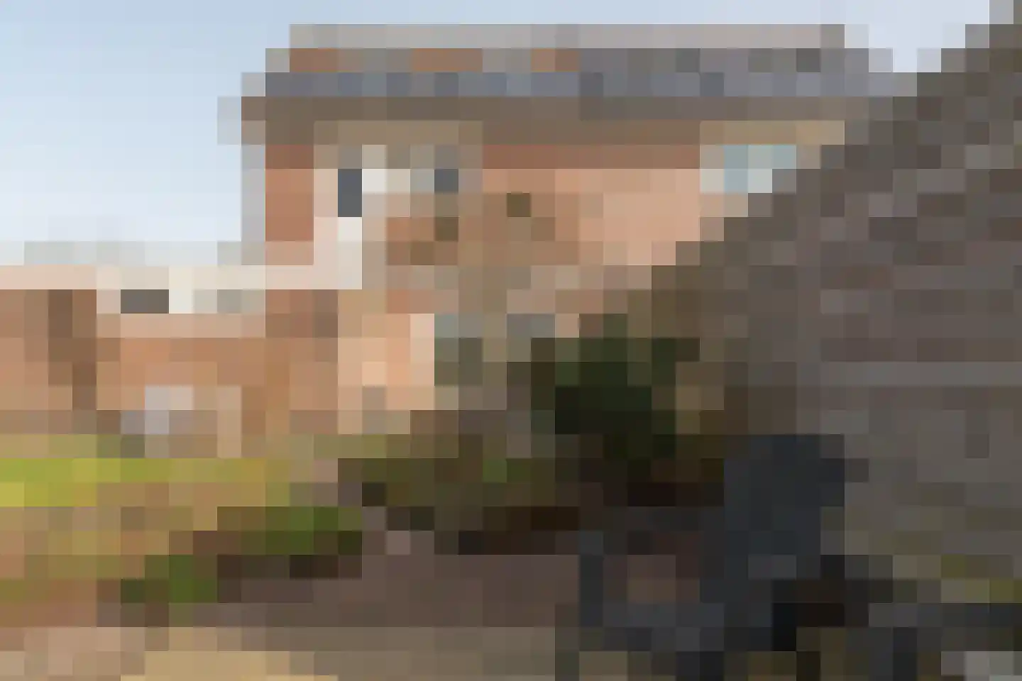 Eeltsjebaes 74 Joure thumbnail 26
