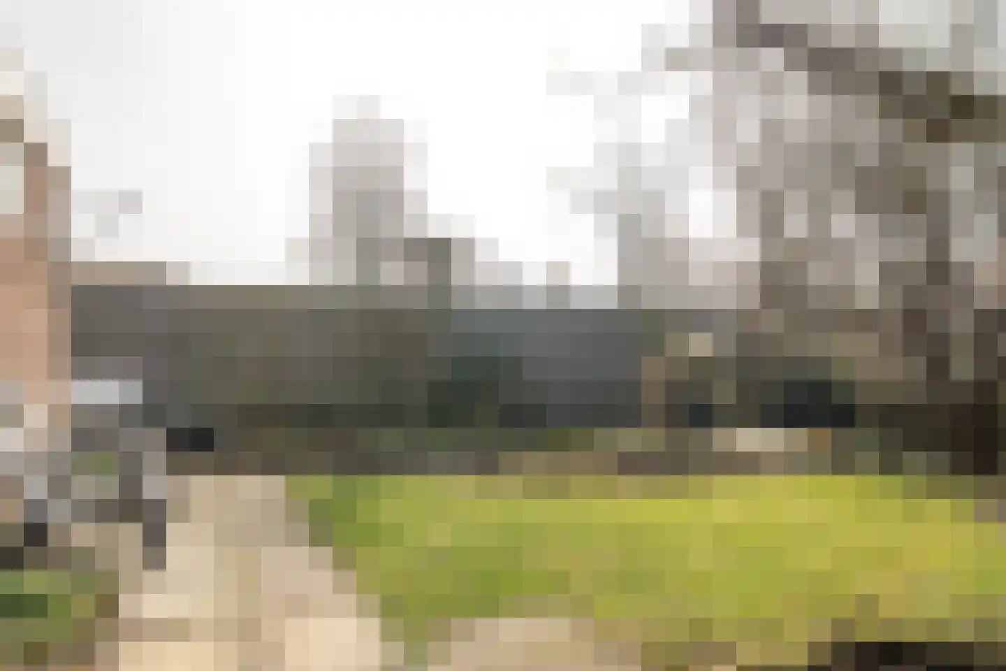 Eeltsjebaes 74 Joure thumbnail 28