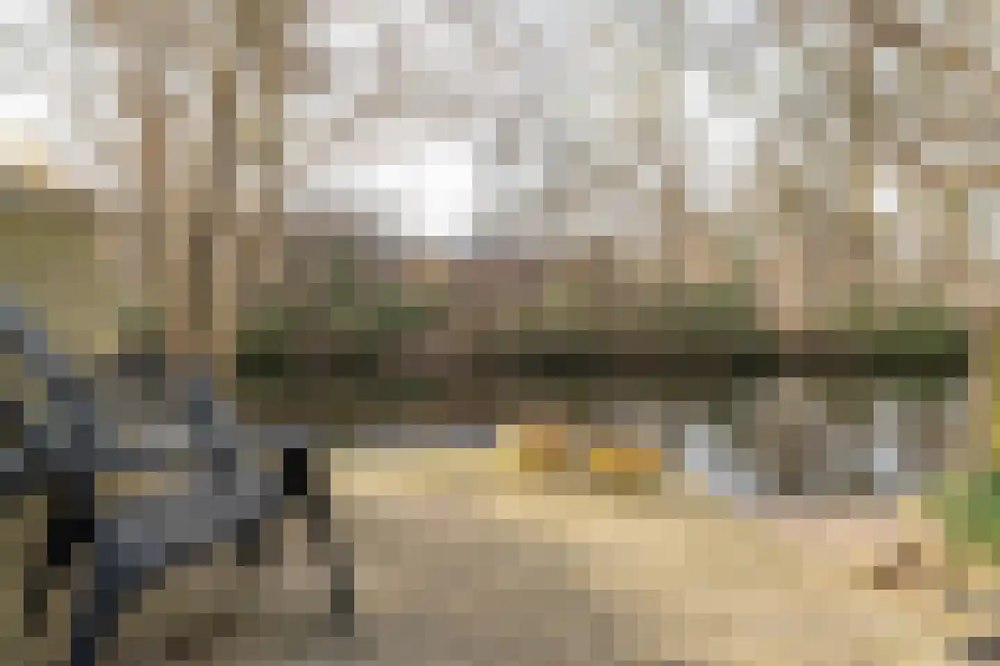 Eeltsjebaes 74 Joure thumbnail 29