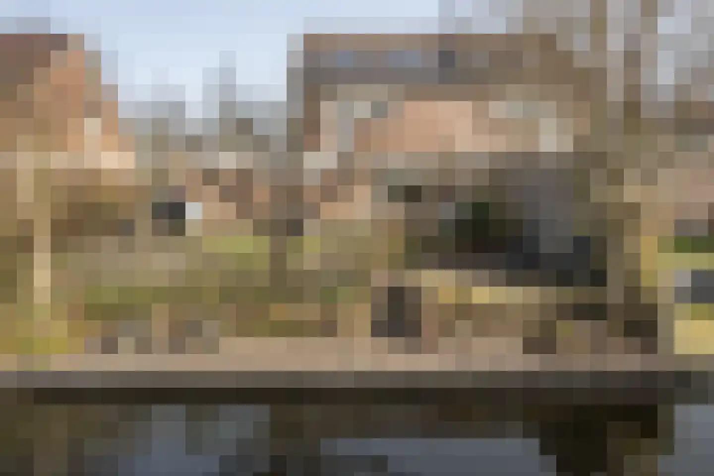 Eeltsjebaes 74 Joure thumbnail 30