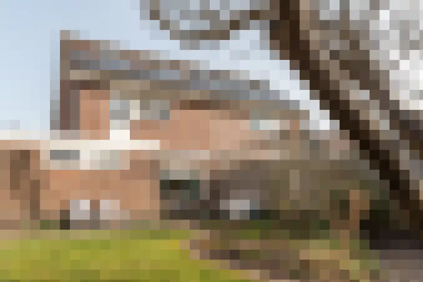 Eeltsjebaes 74 Joure thumbnail 31