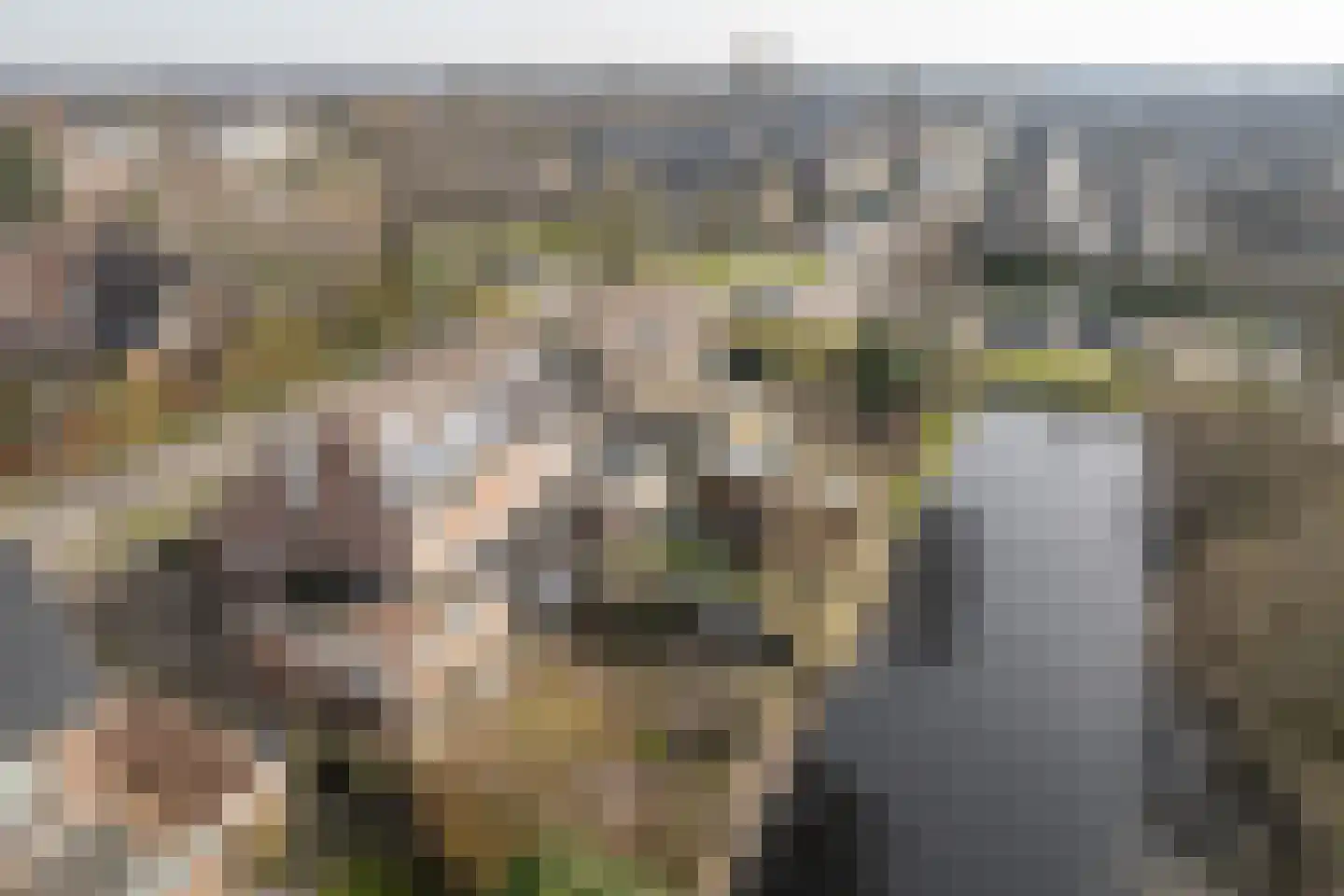 Eeltsjebaes 74 Joure thumbnail 32