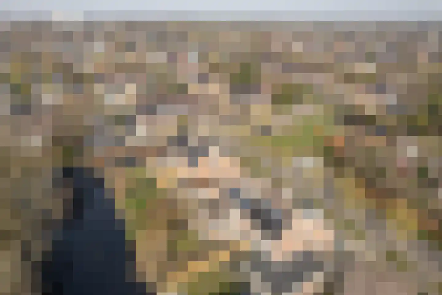 Eeltsjebaes 74 Joure thumbnail 33