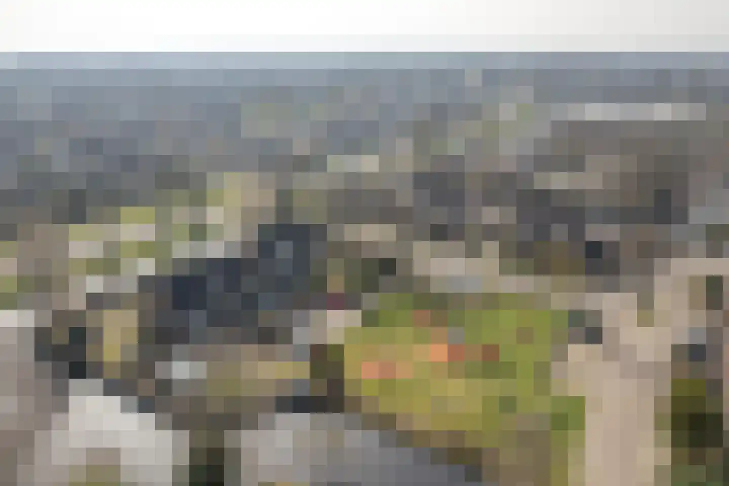 Eeltsjebaes 74 Joure thumbnail 34