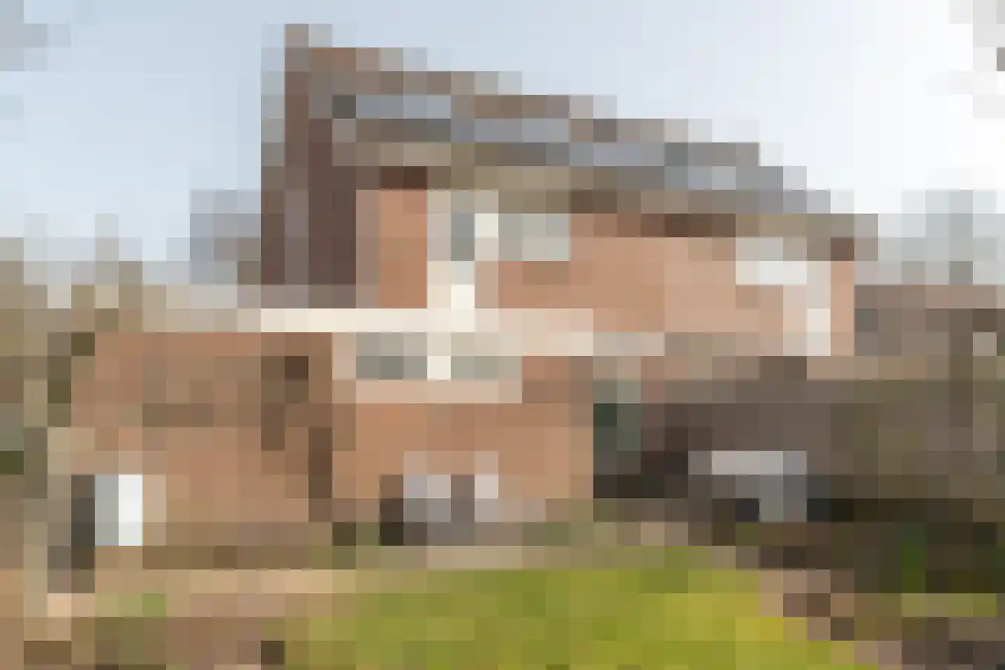Eeltsjebaes 74 Joure thumbnail 6