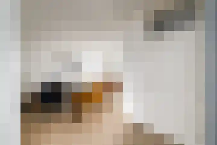 Eeltsjebaes 75 Joure thumbnail 10