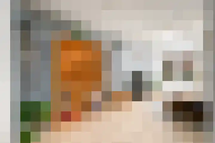 Eeltsjebaes 75 Joure thumbnail 11