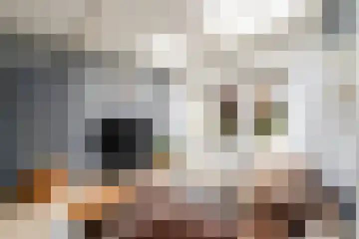 Eeltsjebaes 75 Joure thumbnail 13