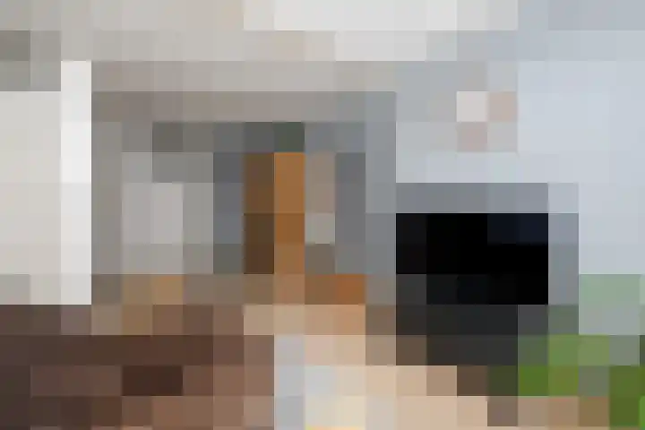 Eeltsjebaes 75 Joure thumbnail 14