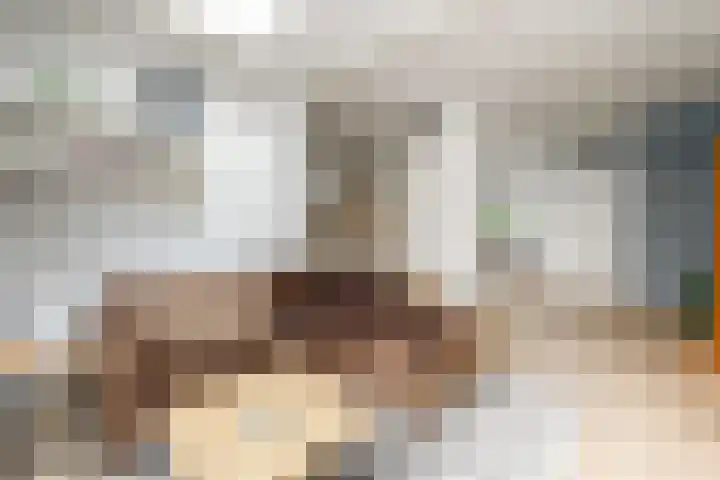 Eeltsjebaes 75 Joure thumbnail 15