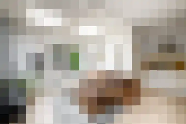 Eeltsjebaes 75 Joure thumbnail 16