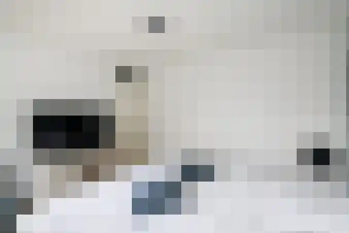 Eeltsjebaes 75 Joure thumbnail 19