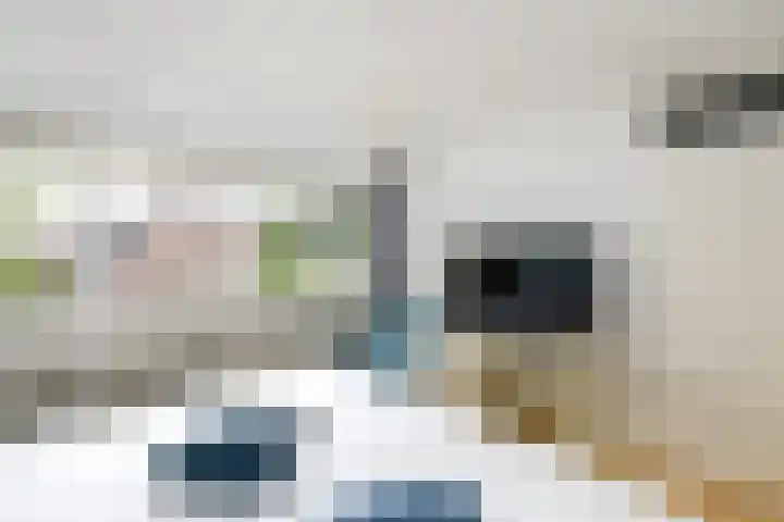 Eeltsjebaes 75 Joure thumbnail 21