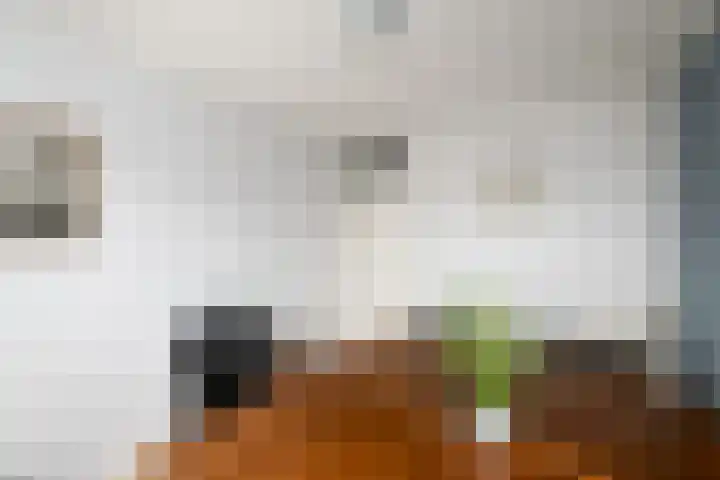 Eeltsjebaes 75 Joure thumbnail 23
