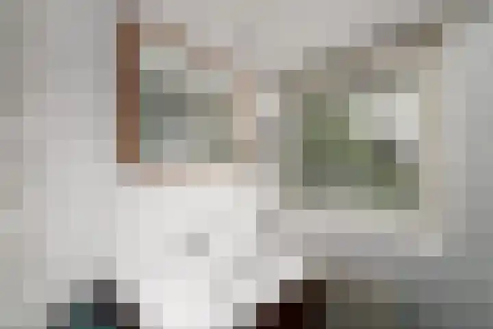 Eeltsjebaes 75 Joure thumbnail 28