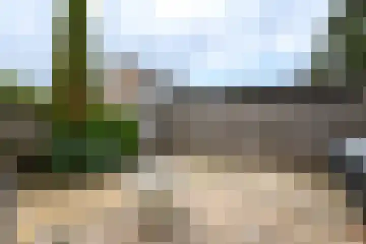 Eeltsjebaes 75 Joure thumbnail 31