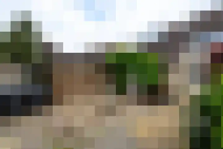 Eeltsjebaes 75 Joure thumbnail 32