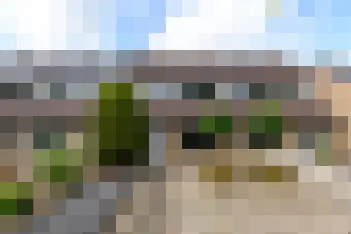 Eeltsjebaes 75 Joure thumbnail 33