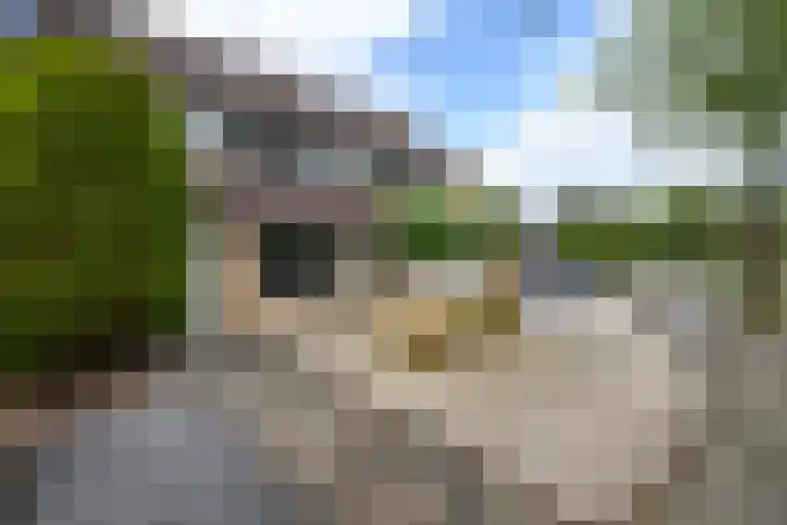 Eeltsjebaes 75 Joure thumbnail 34