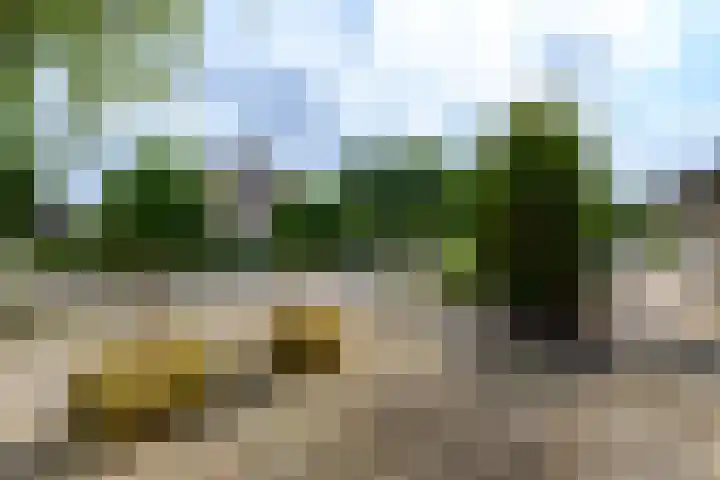 Eeltsjebaes 75 Joure thumbnail 36