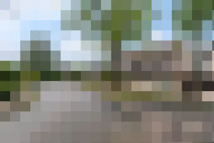 Eeltsjebaes 75 Joure thumbnail 37