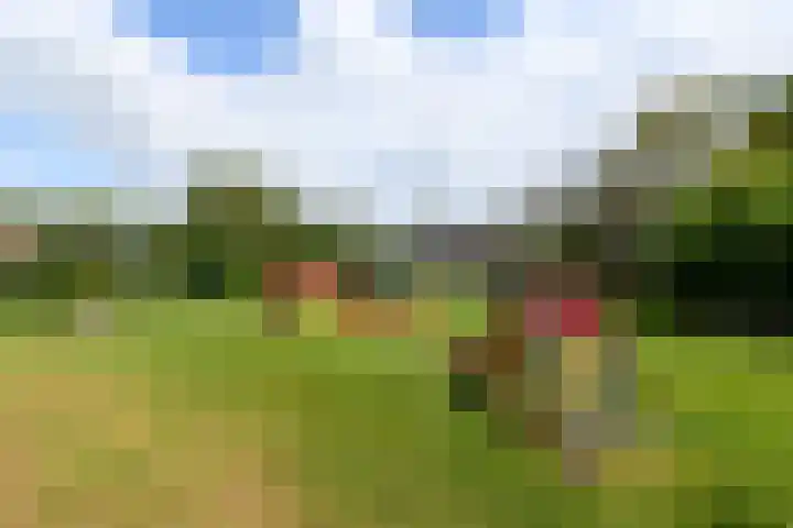 Eeltsjebaes 75 Joure thumbnail 38