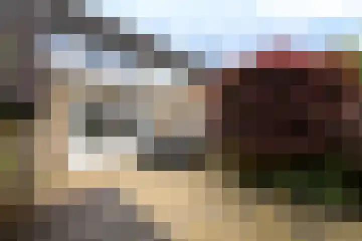 Eeltsjebaes 75 Joure thumbnail 40