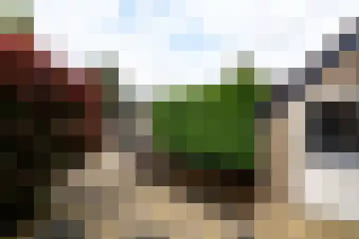 Eeltsjebaes 75 Joure thumbnail 41