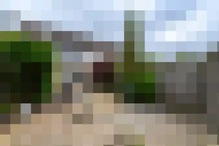 Eeltsjebaes 75 Joure thumbnail 42