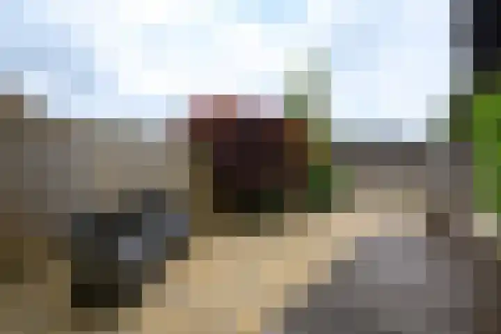 Eeltsjebaes 75 Joure thumbnail 43