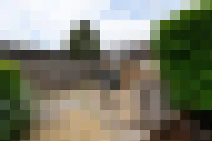Eeltsjebaes 75 Joure thumbnail 44