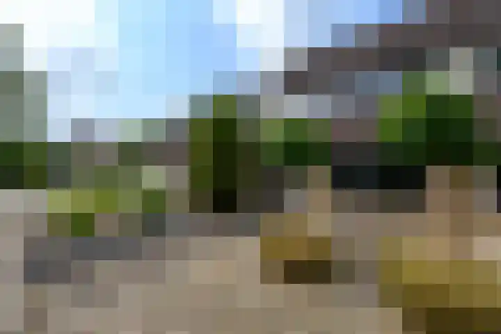 Eeltsjebaes 75 Joure thumbnail 48