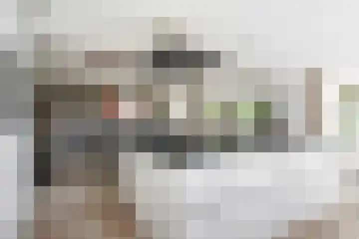 Eeltsjemar 1 Leeuwarden thumbnail 17
