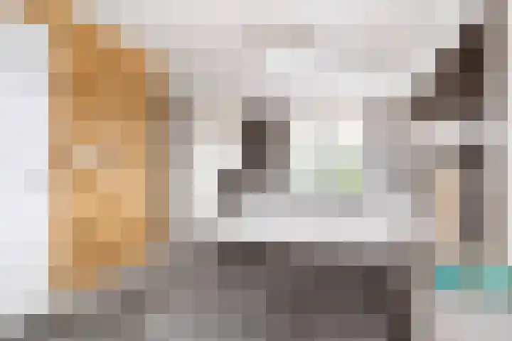 Eeltsjemar 1 Leeuwarden thumbnail 36