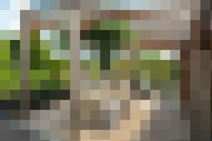 Eeltsjemar 1 Leeuwarden thumbnail 61