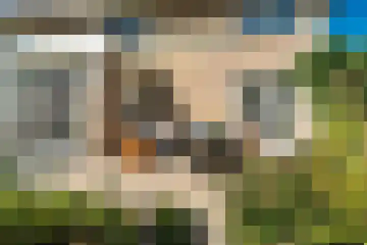 Eeltsjemar 1 Leeuwarden thumbnail 68