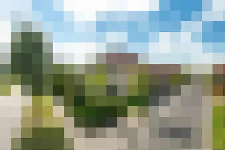 Eeltsjemar 1 Leeuwarden thumbnail 77