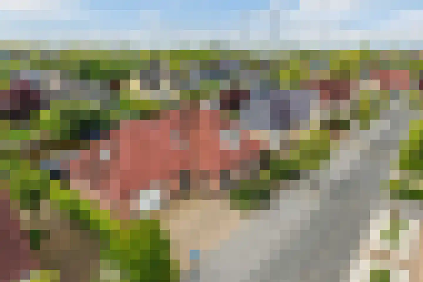 Eeltsjemar 13 Leeuwarden thumbnail 6