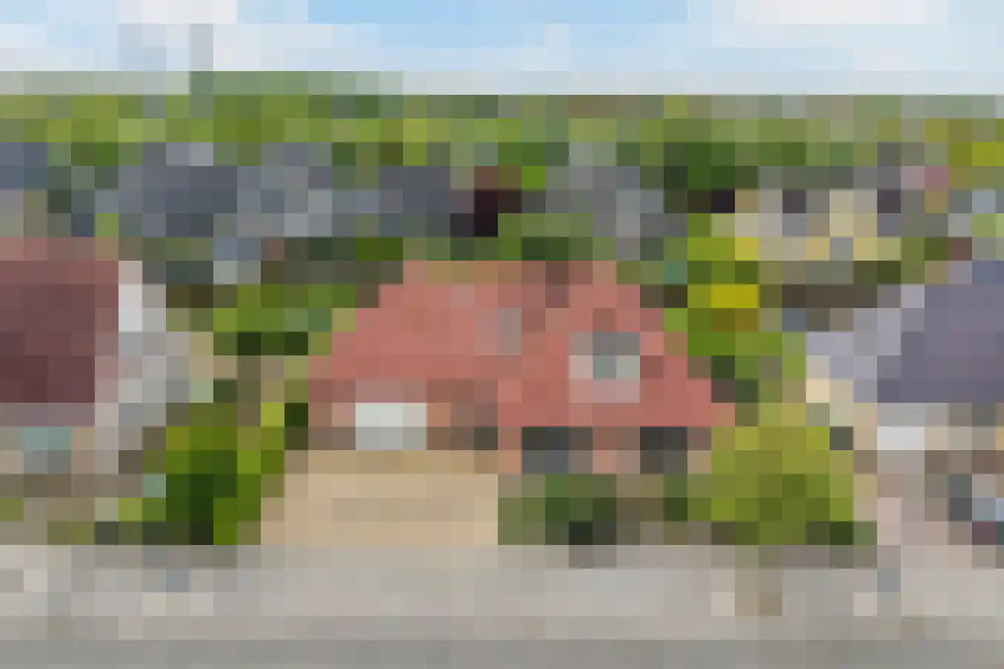 Eeltsjemar 13 Leeuwarden thumbnail 7