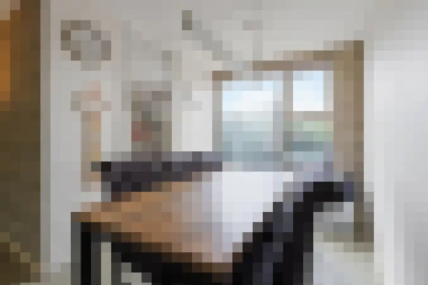 Eem 11 Huizen thumbnail 10