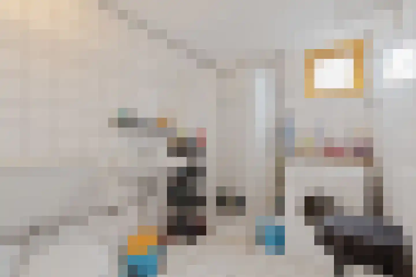Eem 11 Huizen thumbnail 21
