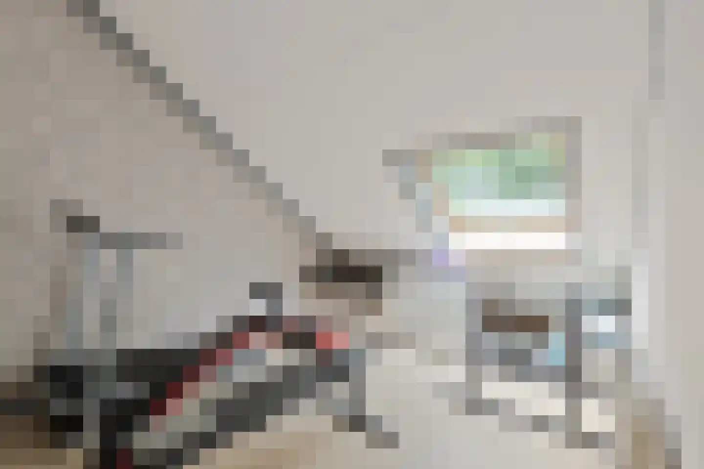 Eem 11 Huizen thumbnail 23