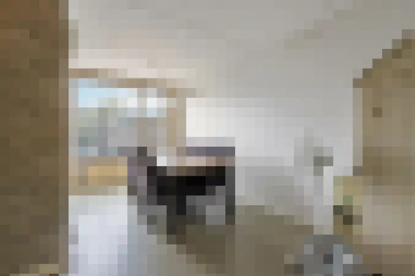 Eem 11 Huizen thumbnail 9