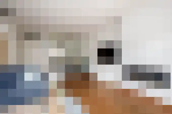 Eem 15 Nieuwerkerk aan den IJssel thumbnail 14