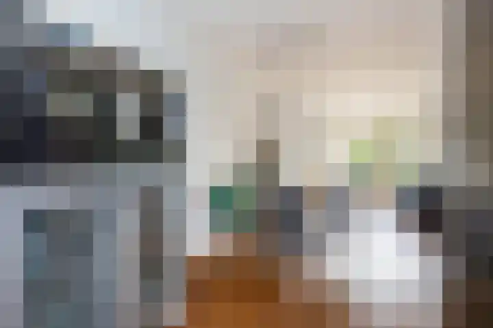 Eem 15 Nieuwerkerk aan den IJssel thumbnail 17