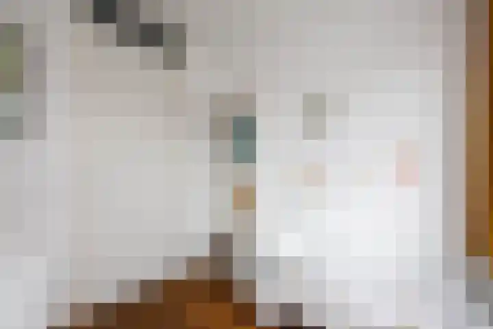 Eem 15 Nieuwerkerk aan den IJssel thumbnail 24