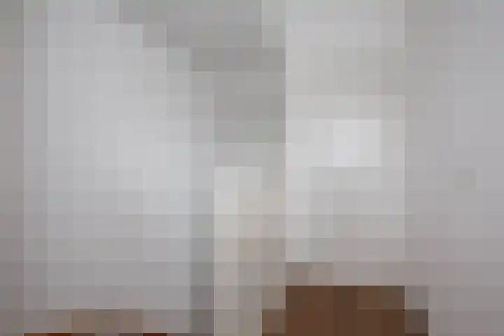 Eem 15 Nieuwerkerk aan den IJssel thumbnail 29