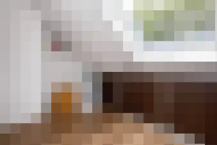 Eem 15 Nieuwerkerk aan den IJssel thumbnail 33