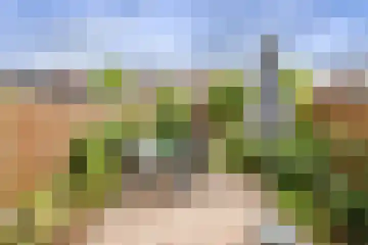 Eem 15 Nieuwerkerk aan den IJssel thumbnail 37