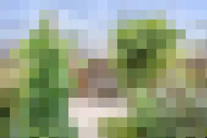 Eem 15 Nieuwerkerk aan den IJssel thumbnail 38